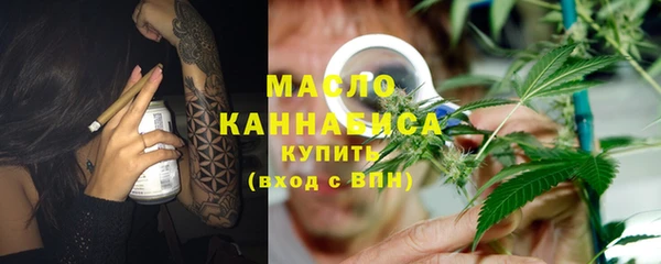 амф Ельня