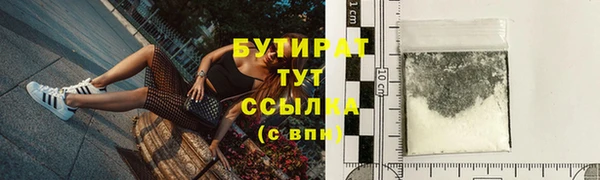 амф Ельня