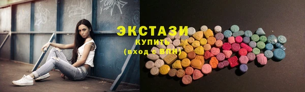 амф Ельня