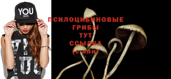 амф Ельня