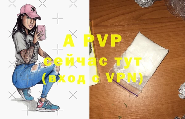 стафф Елабуга